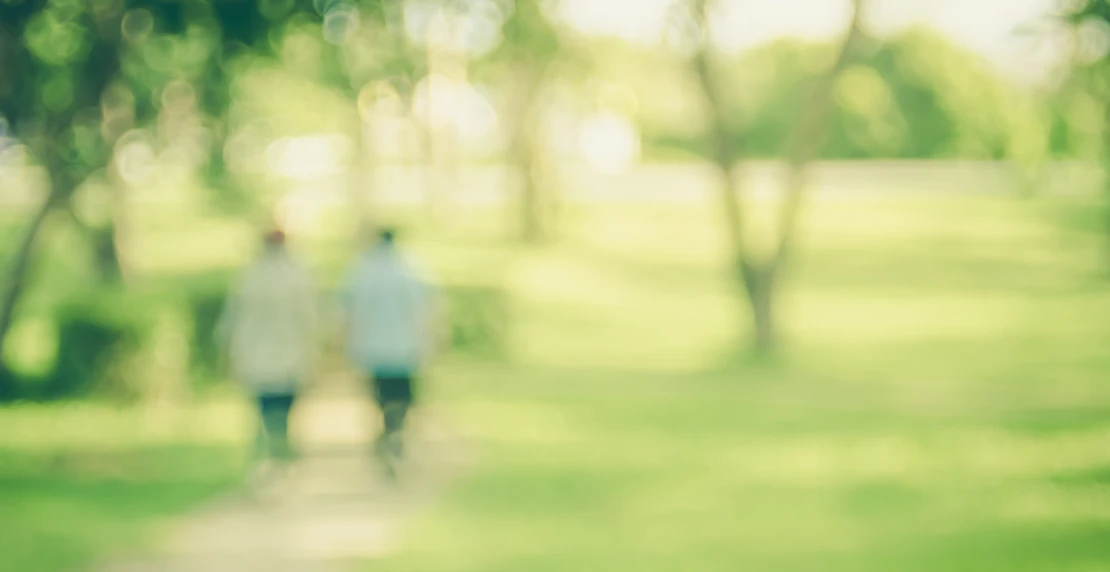 Blurred People In Park Cropped
