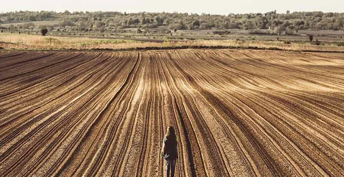 Farm Outback