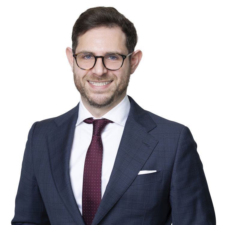 Damien Zivin Lawyer